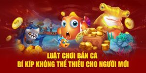 luat-choi-ban-ca-–-bi-kip-khong-the-thieu-cho-nguoi-moi