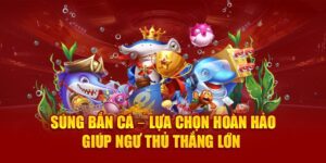 sung-ban-ca-–-lua-chon-hoan-hao-giup-ngu-thu-thang-lon-