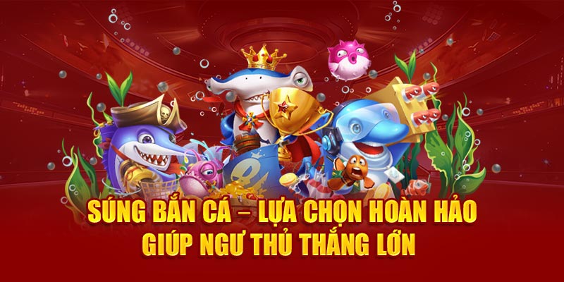 sung-ban-ca-–-lua-chon-hoan-hao-giup-ngu-thu-thang-lon-